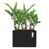 Elho June Brick Divider -ruukku, 80*30*59 cm, musta