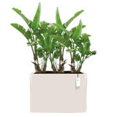 Elho June Brick Divider -ruukku, 80*30*59 cm, Linen White